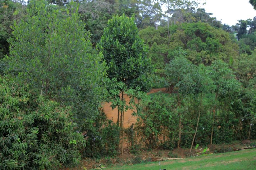 Egg Botanical View Μοτέλ Εντέμπε Εξωτερικό φωτογραφία